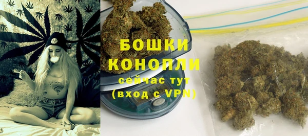 ALPHA PVP Елизово