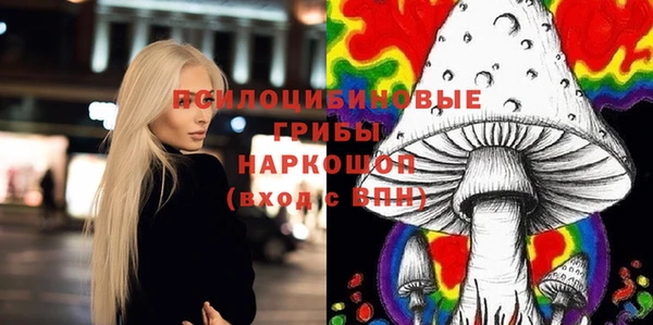 ешки Елабуга