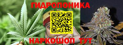 прущие крисы Рыбинск