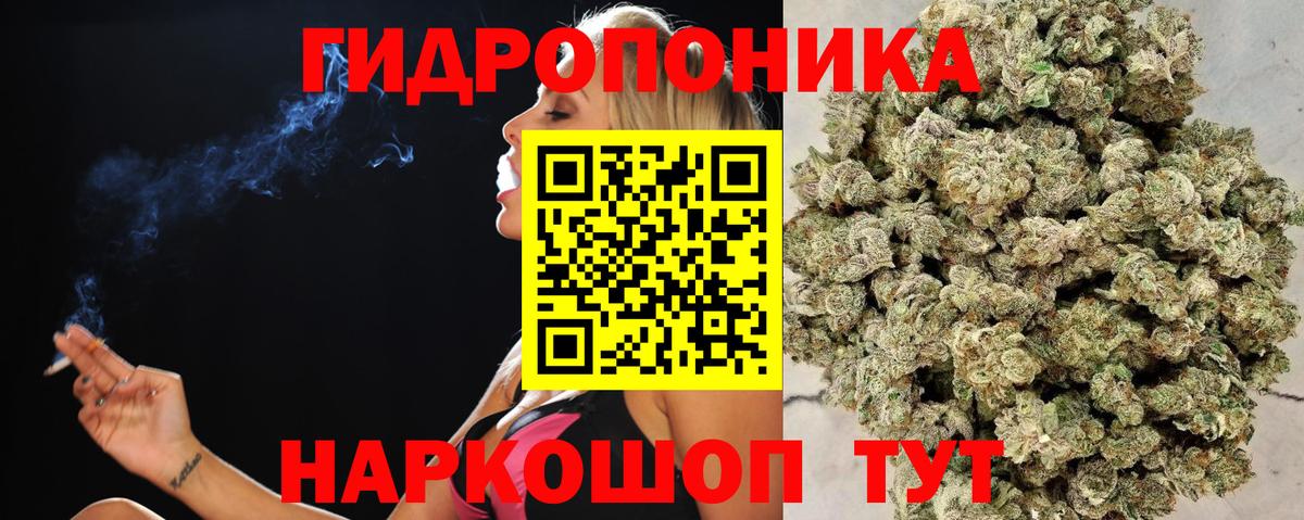 Каннабис Amnesia  Вход с VPN  Конопля THC 21%  Тобольск 